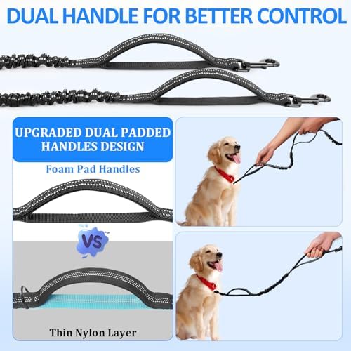 Philorn reflective dog leash features for safety