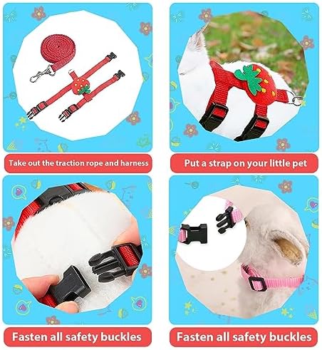 XPAPOV kitten and puppy outdoor walking harness set