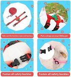 XPAPOV kitten and puppy outdoor walking harness set