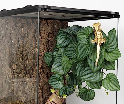 Full product view of the WOLEDOE artificial hanging habitat plant packaging