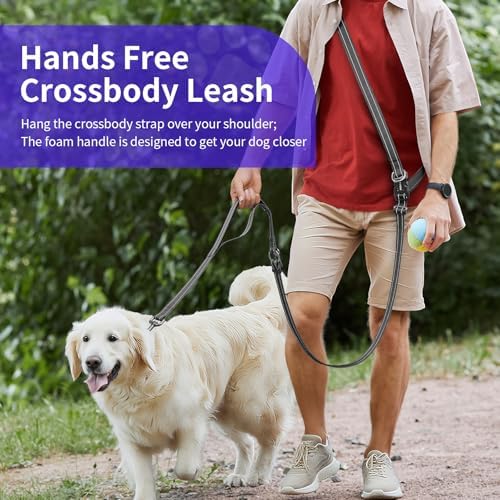 Kazazoo medium size black hands free leash attached to a large dog harness.