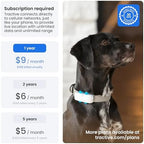 Tractive white GPS tracker shown on a active dog