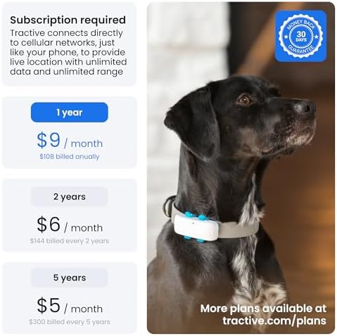 Tractive white GPS tracker shown on a active dog