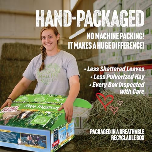 Small Pet Select high fiber timothy hay texture view
