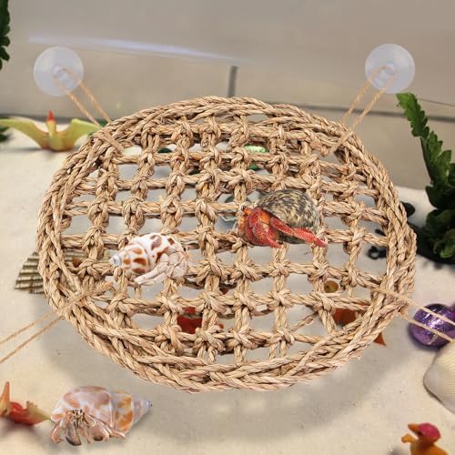 Authentic USA imported reptile lounger with secure hemp rope and suction cup attachments