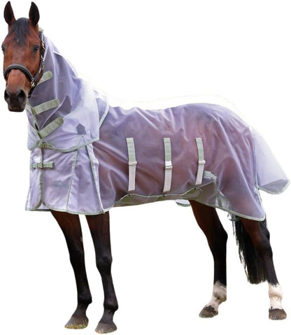 Shires Highlander Fine Mesh Fly Sheet showing full horse coverage.