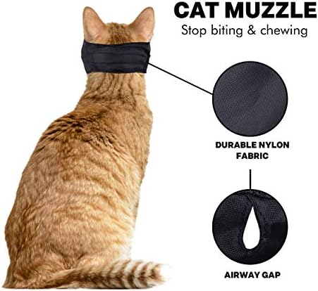 Downtown Pet Supply cat muzzle adjustable strap detail