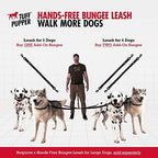 Tuff Pupper hands free leash set for two dogs in outdoor setting