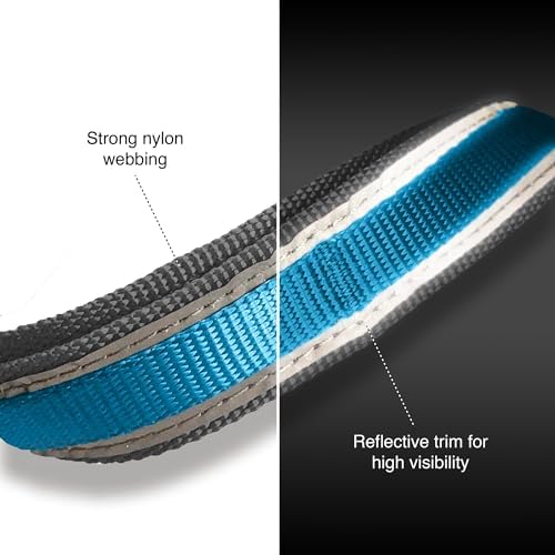 Reflective detail on Kurgo dog lead for nighttime safety