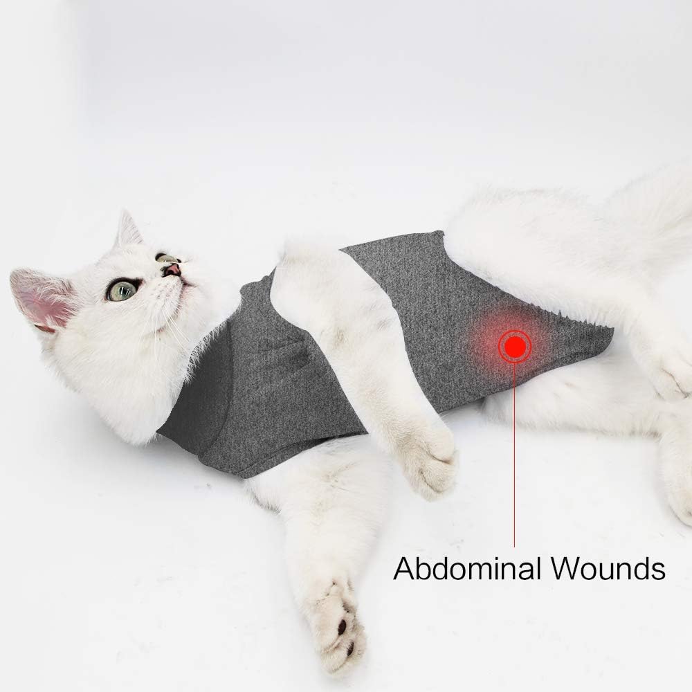 Doton cat recovery suit on feline model