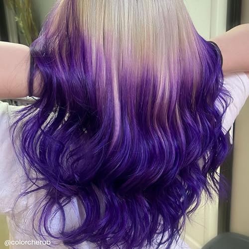 USA imported authentic Arctic Fox dark purple hair dye product shot