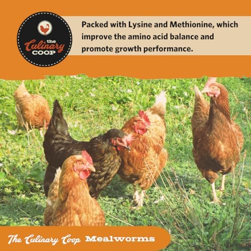 Fluker's high-protein poultry treat bag side profile