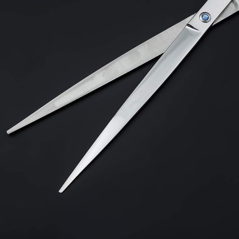 Purple Dragon stainless steel pet grooming scissors showcasing the sharp convex blade edge
