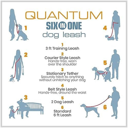Kurgo adjustable leash showing length variation