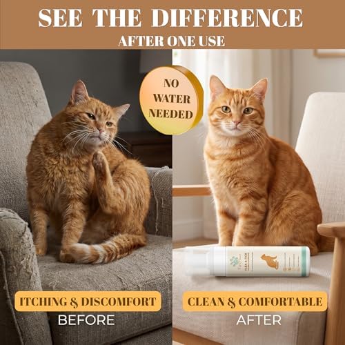 Fav Paws waterless cat shampoo 200 ml packaging highlighting the fresh clean scent