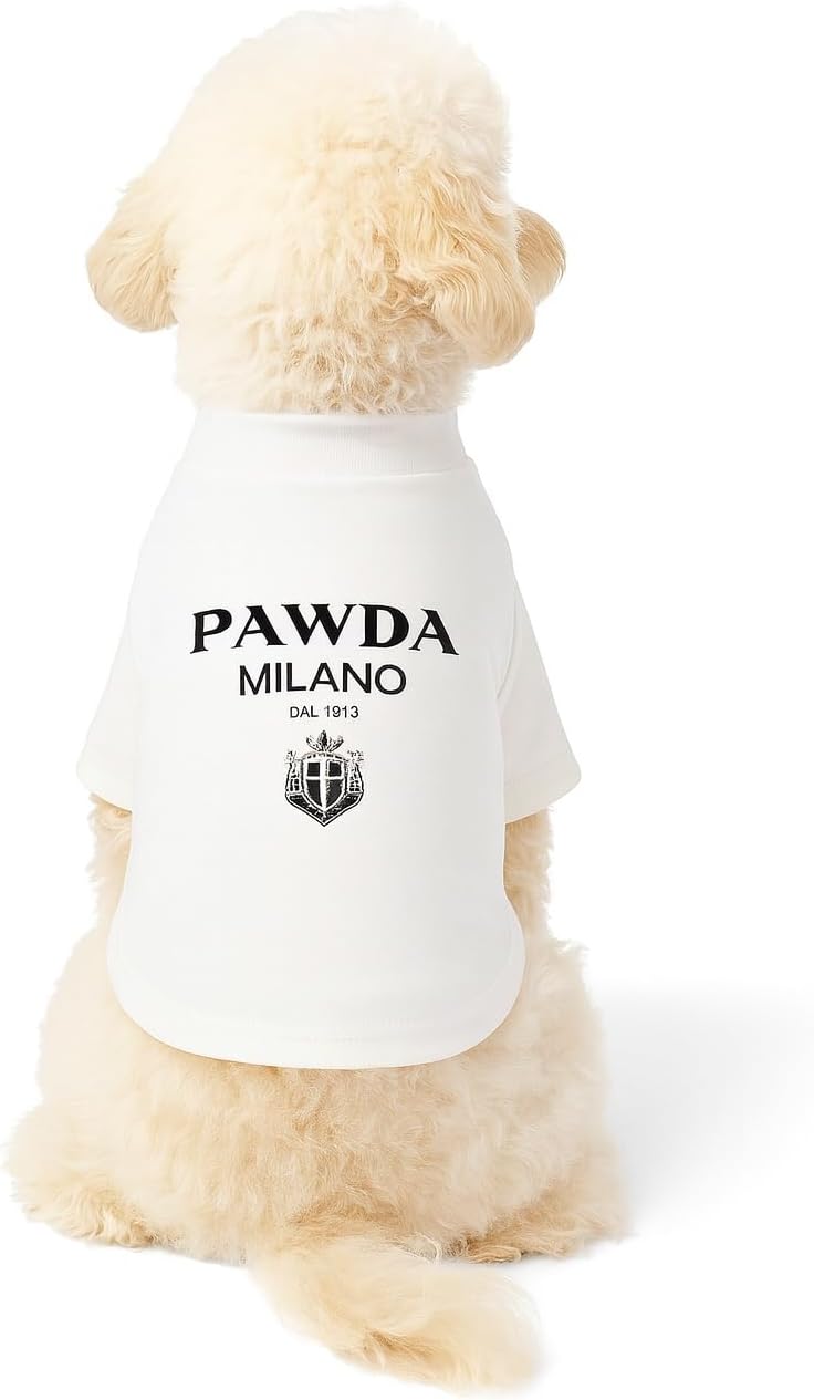 Luxury Designer Dog T Shirt - Trendy Puppy Clothes for Small Dogs, Fashion Pet Tee for French Bulldogs & Chihuahuas, Everything Chic Dog Apparel (FurberryTee, Small) - Image 12