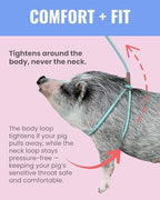 Close up of Porcine mini pig harness adjustment mechanism
