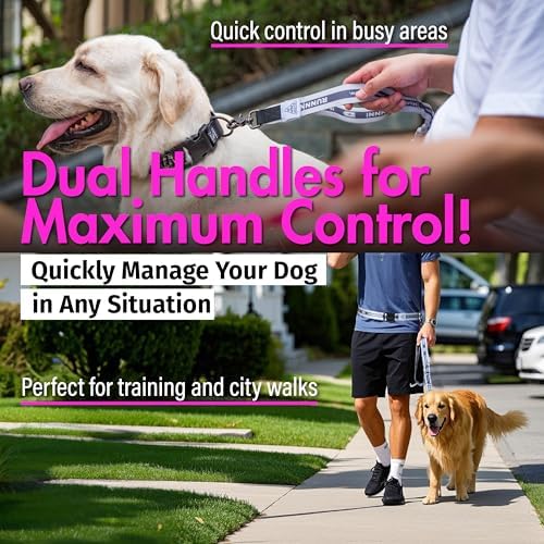 JC House hands-free leash with mobile D-ring set-up