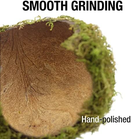 Hamster Hideout - Large, Natural Moss, Handcrafted for Syrian Hamsters, Rats & Guinea Pigs, Safe & Eco-Friendly - Image 4