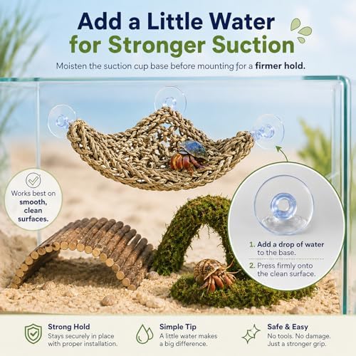 HERCCOCCI Hermit Crab Accessories, Hermit Crab Toys Flexible Climbing Bridge Reptile Hammock Habitat Decor for Hermit Crabs Leopard Geckos Crested Tortoise Snake - Image 7