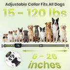 DOGLinsen dog training system charging setup with included rechargeable battery components.