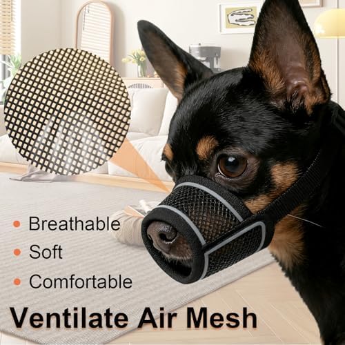 Dog wearing CNSYAF mesh muzzle for safe grooming