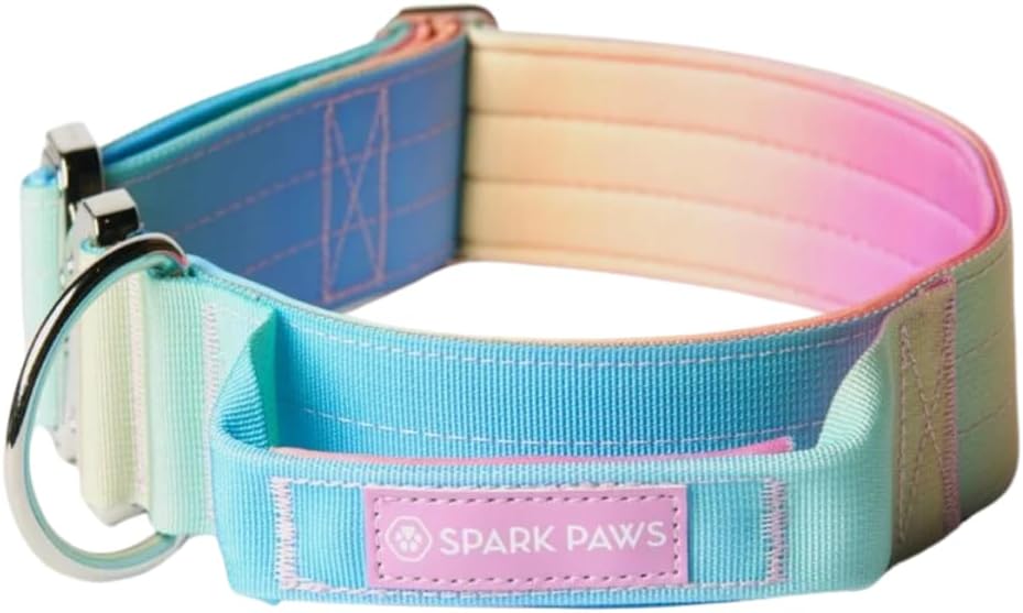 Spark Paws Tactical Dog Collar - Heavy Duty, Premium Quality, Thick and Durable for Large and Medium Dogs - 90's Retro - L - Image 14