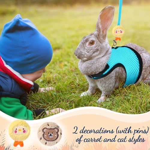Top view of mesh rabbit harness with attached leash