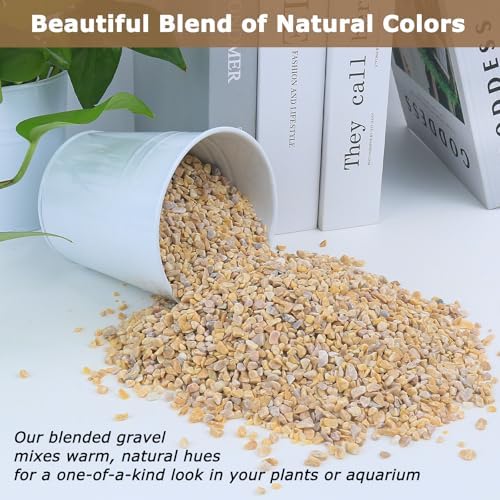 Comparison of dry versus wet natural pea gravel color