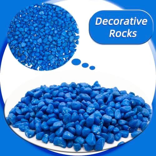 Blue pebbles used as top dressing for indoor succulent plant