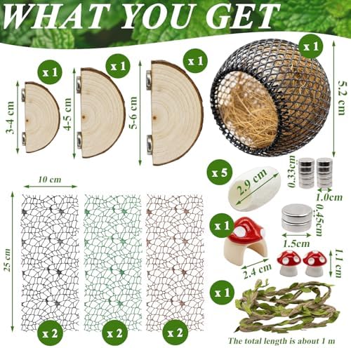 Jumping Spider Habitat Accessories Enclosure Habitat Accessories Jumping Spider Web Climbing and Feeding Platforms with Magnets for Small Insects Critters - Image 3