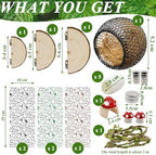 Jumping Spider Habitat Accessories Enclosure Habitat Accessories Jumping Spider Web Climbing and Feeding Platforms with Magnets for Small Insects Critters - Image 3