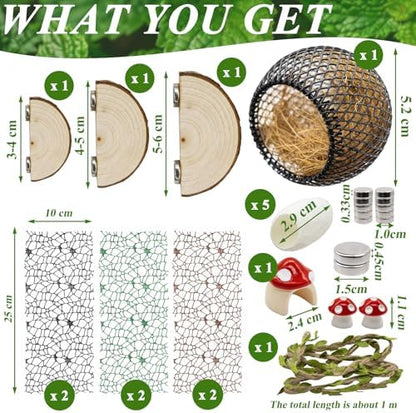 Jumping Spider Habitat Accessories Enclosure Habitat Accessories Jumping Spider Web Climbing and Feeding Platforms with Magnets for Small Insects Critters - Image 3