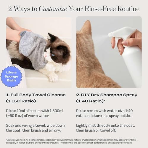 Grooming a cat with a damp bath mitt and leave in soothing serum