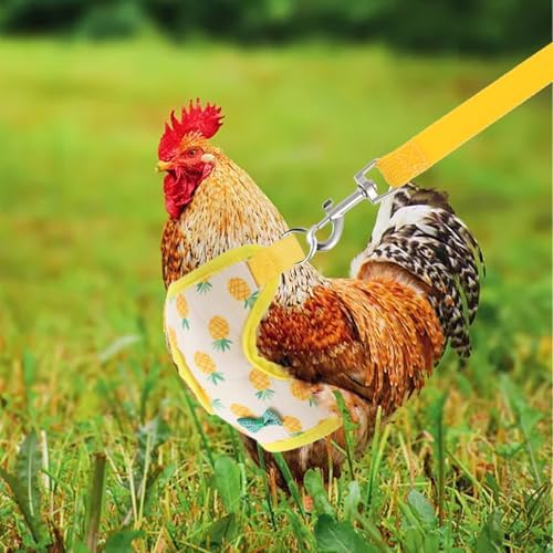 Prasacco imported chicken vest and leash combination pack displaying both pink and yellow variants for small poultry