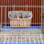 Chinchilla inside a Deayou hanging basket hideout