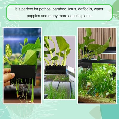 Aidmi aquarium feeder and planter basket for pothos aquascaping
