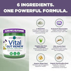 Vital Planet Vital Gut Renew powder serving scoop illustration