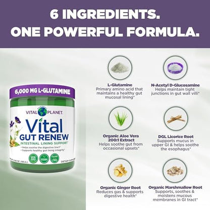 Vital Gut Renew supplement powder texture and scoop