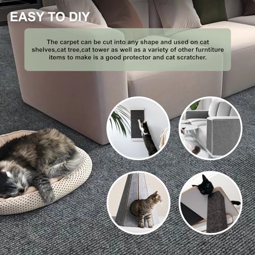 Indoor cat climbing and scratching on the wall mounted protective carpet sheets safely