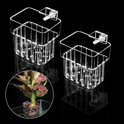 Roetelo transparent acrylic aquatic planter two pack with live java fern inside