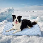 Extra large pet cooling pad placed inside a standard metal dog crate