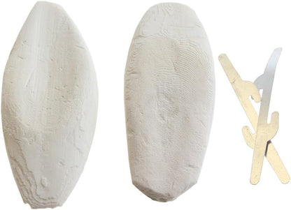 Emours Natural Cuttlefish Bone front view of twin pack packaging showing two natural pieces.
