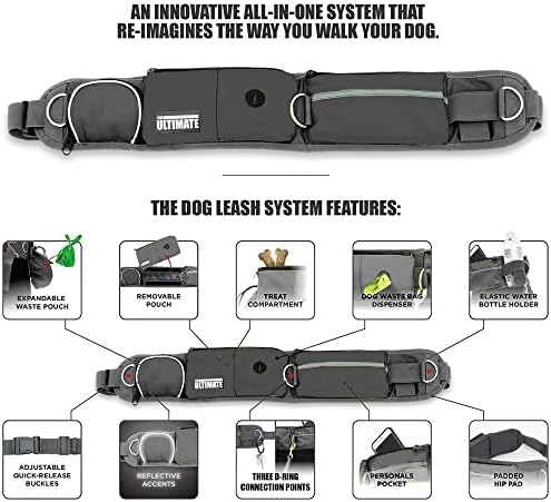 Reflective bungee leash detail on Taksin dog system
