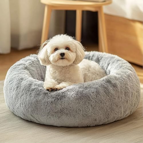 JOLLYVOGUE Small Dog Bed, Calming Soft Anti-Anxiety Donut Cat Bed, Washable Round Fluffy Cushion for Small and Medium Pets (20") - Image 2