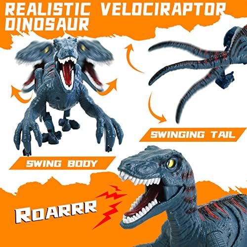 Child using 2.4G remote control with Apobatk Velociraptor