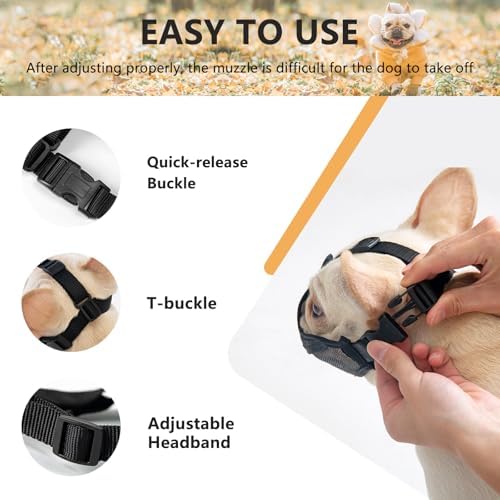 Detailed view of open eye hole design on Herrypiggy muzzle