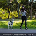 DearWells iron grey and black hands free dog leash setup fully assembled.
