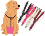 Adjustable pet diaper keeper straps with heavy duty metal clips for dogs.