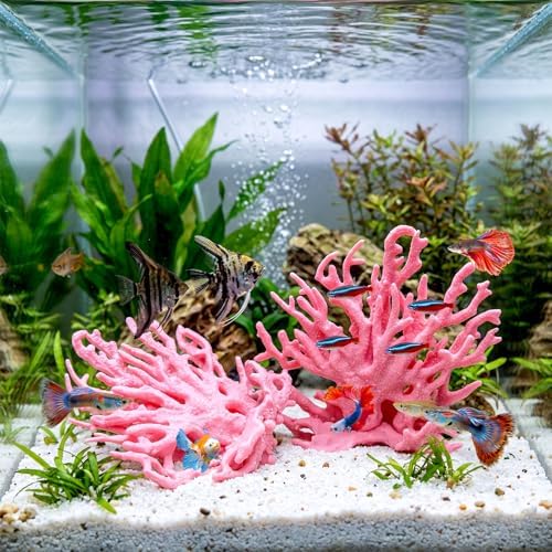 Safe non toxic PVC plastic base structure of the Bruislard fish tank decor